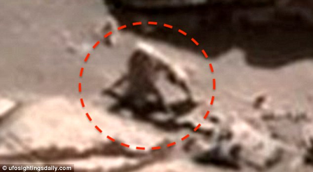 UFO Sightings Detect Extraterrestrial Species like Hairy Spider Monkey and Snail on Mars