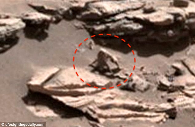 UFO Sightings Detect Extraterrestrial Species like Hairy Spider Monkey and Snail on Mars