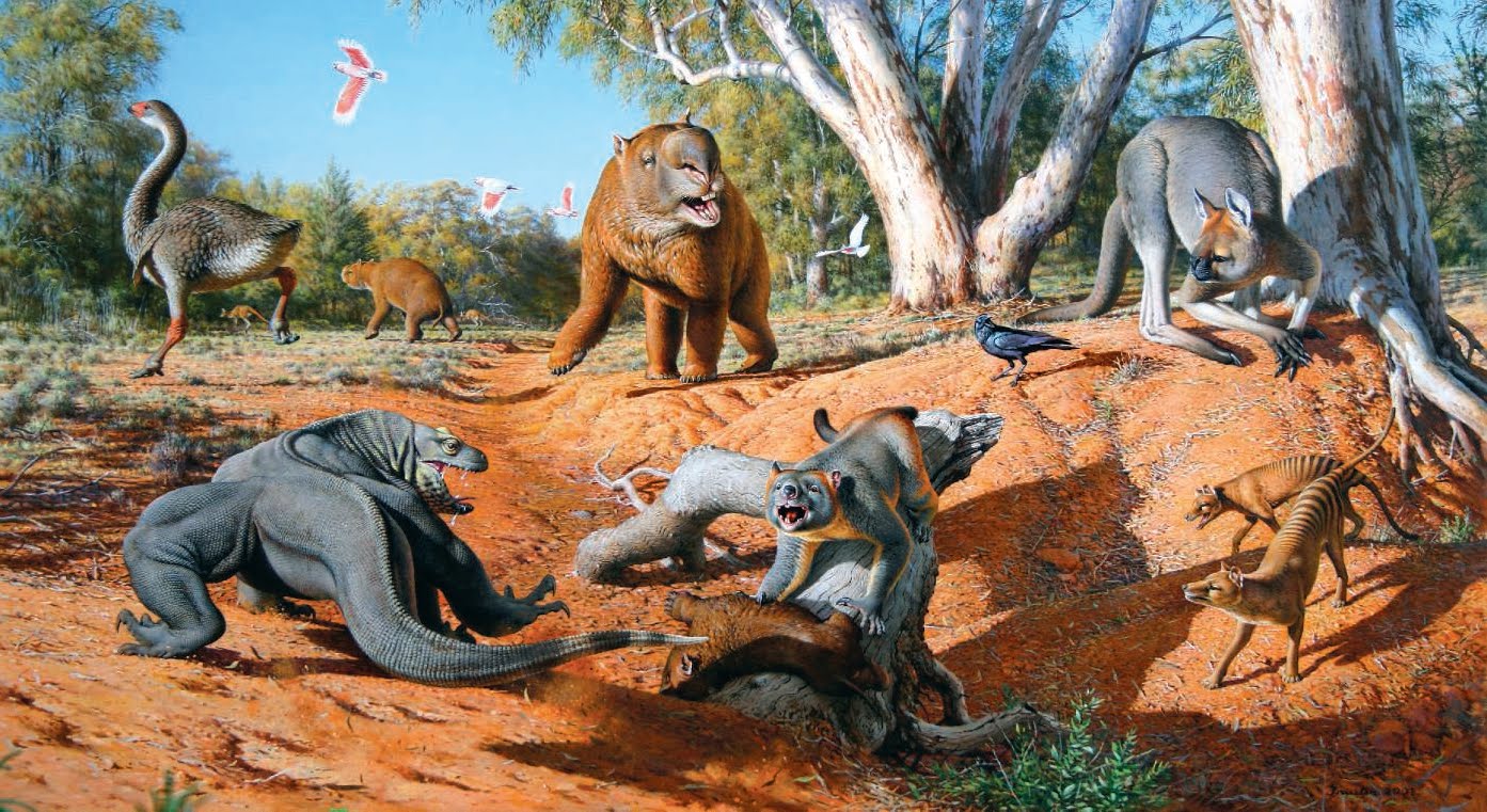 Not Climate Change, It Is Human Being Who Caused Extinction of Giant Australian Creature