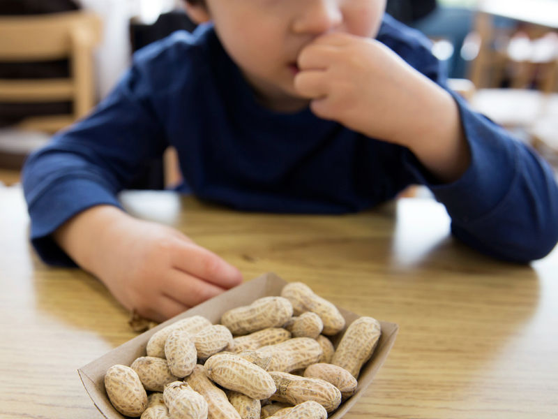 Peanuts in Early Childhood Diet Can Defend Allergic In Later Stage of Life: Study