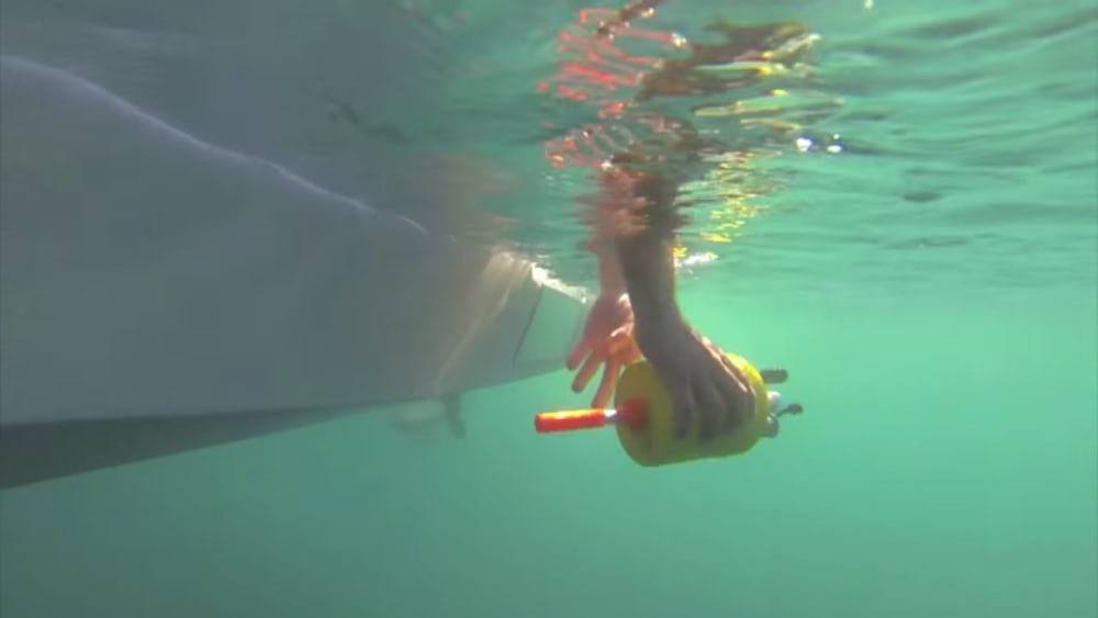 Scientists Develop Tiny Undersea Robot to Monitor Ocean Currents and Movement of Plankton