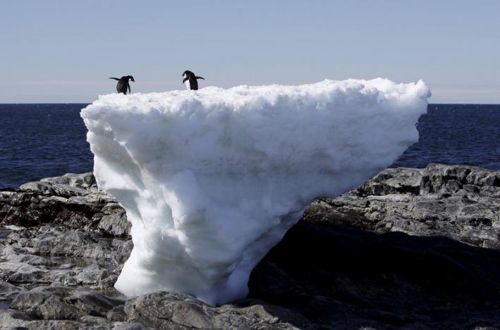 Antarctica hits new heat temperature, around 64 degrees F