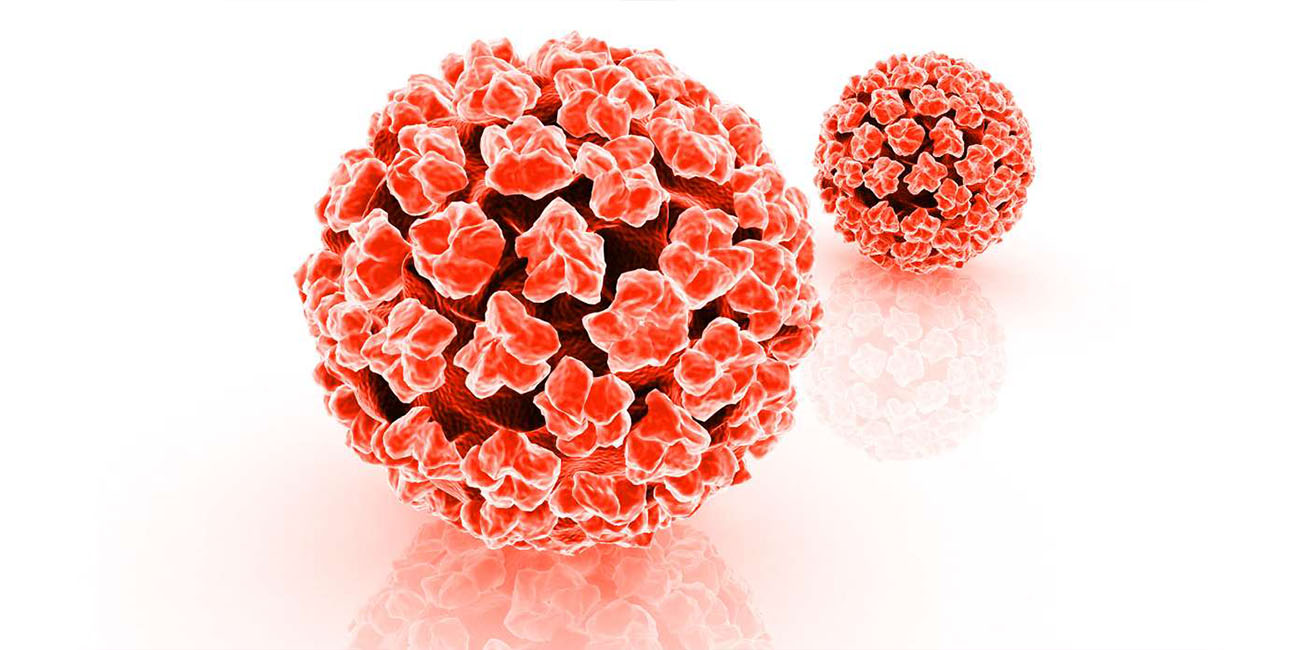 Men are more prone to HPV virus than women