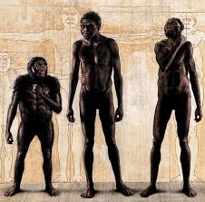 Homo Naledi