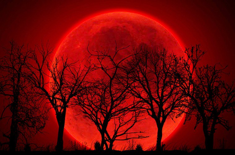 ‘Super Blue Blood Moon’ to put up an early Wednesday show for sky gazers