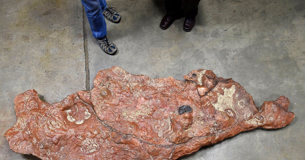 NASA accidentally discovers largest pool of dinosaur tracks in its own backyard