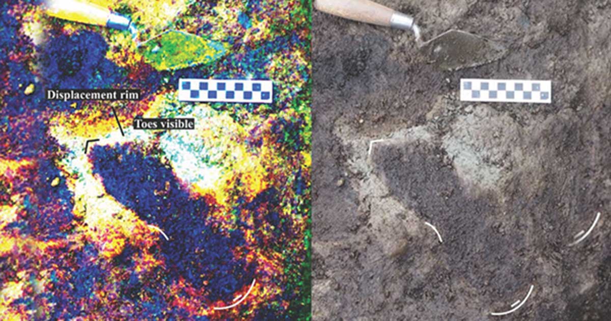 Researchers unearth 29 oldest human footprints from an unexpected spot in Canada