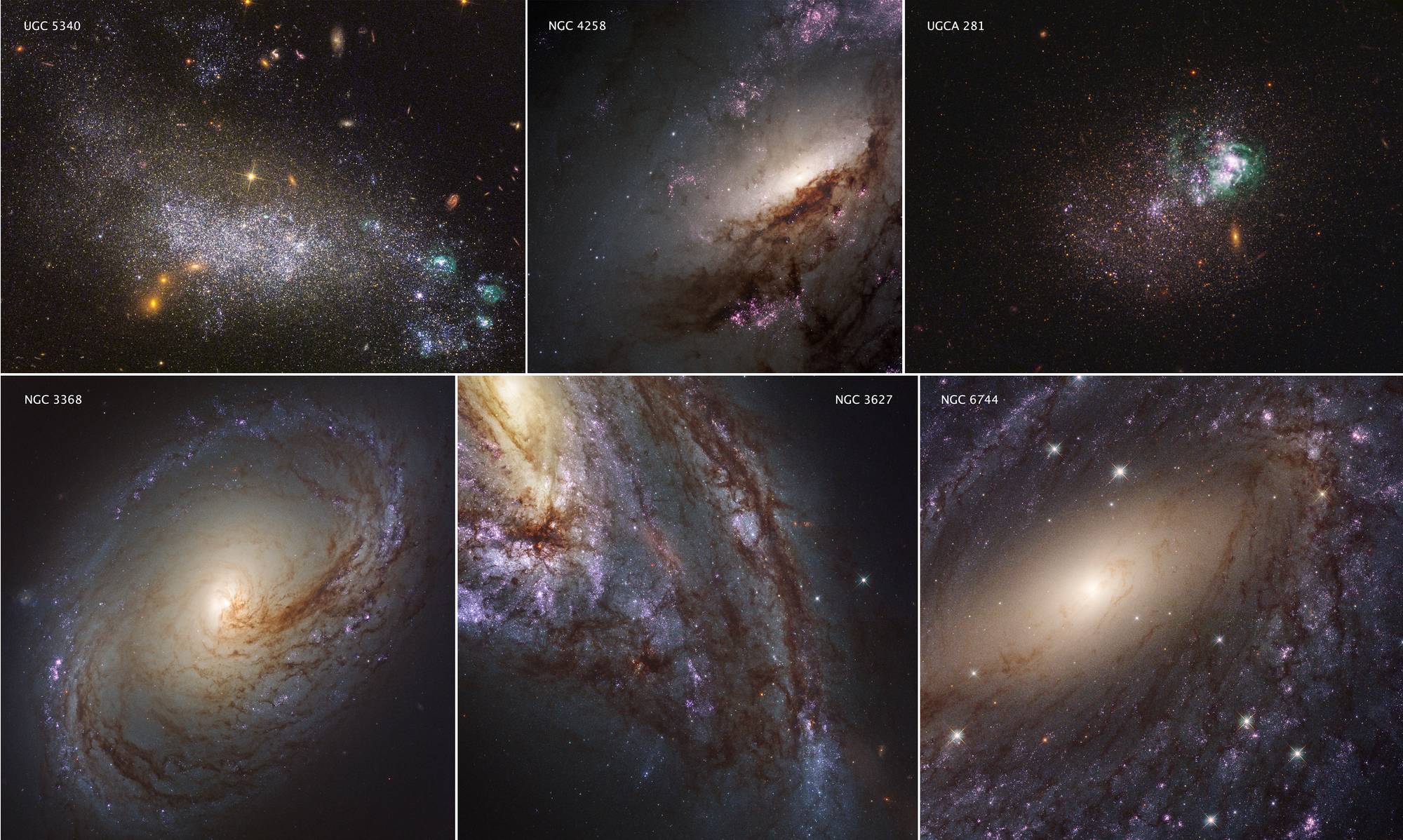 Astronomers reveal the largest ever survey of 50 galaxies in ultraviolet light