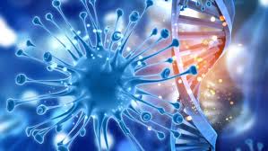Global Cancer Diagnostics Market – Global Industry Analysis and Forecast (2018-2026)