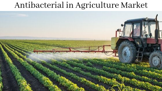 Antibacterial in Agriculture Market Revenue to Record a High Growth Rate During 2019–2025 | Business Forecast by Top players like BASF SE, The DOW Chemical Company, E.I. Dupont De Nemours and Company, Sumitomo Chemical, Bayer Cropscience