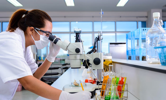 Clinical Laboratory Testing Market Analytical Research Report (2019-2026) | Business Forecast by Top players like Abbott Laboratories, ARUP Laboratories, OPKO Health, Strategic initiatives, Charles River Laboratories International