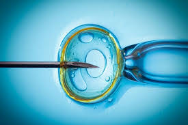 Global Infertility Treatment Market – Global Industry Analysis and Forecast (2018-2026)