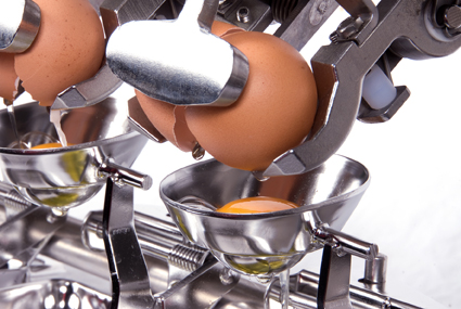 Egg Processing Equipment