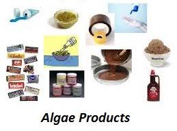 Algae Products Market – Industry Analysis and Forecast (2017 TO 2024)– Industry Analysis and Forecast (2017 TO 2024)