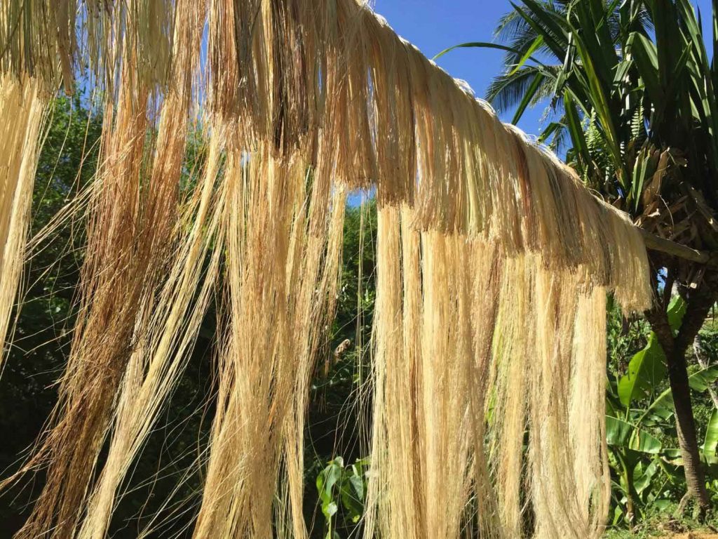 Abaca Fiber Market Latest Trends, Growing Demand and Top Manufacturers 2019 to 2025 – Ching Bee Trading Corporation, Peral Enterprises