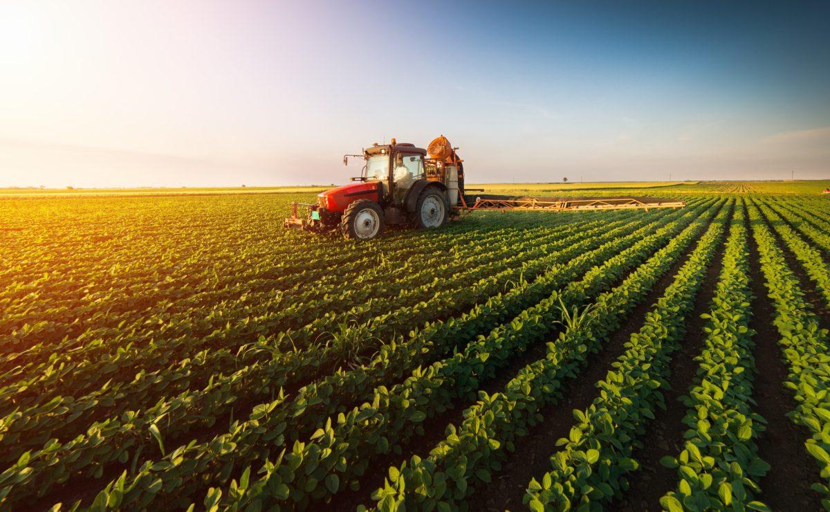 Agricultural Insurance Market Insights Shared In Detailed Report 2019-2025