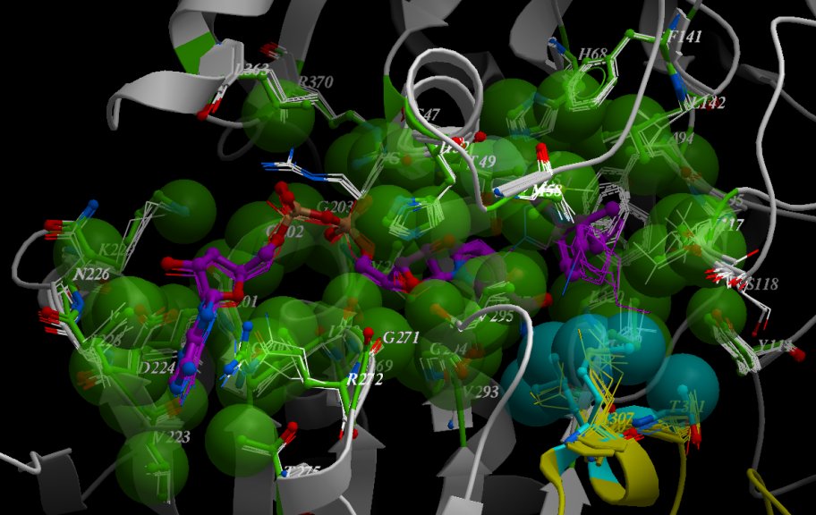 Microbial Fermentation APIs Market Competitive Insights And Precise Outlook 2019 To 2024