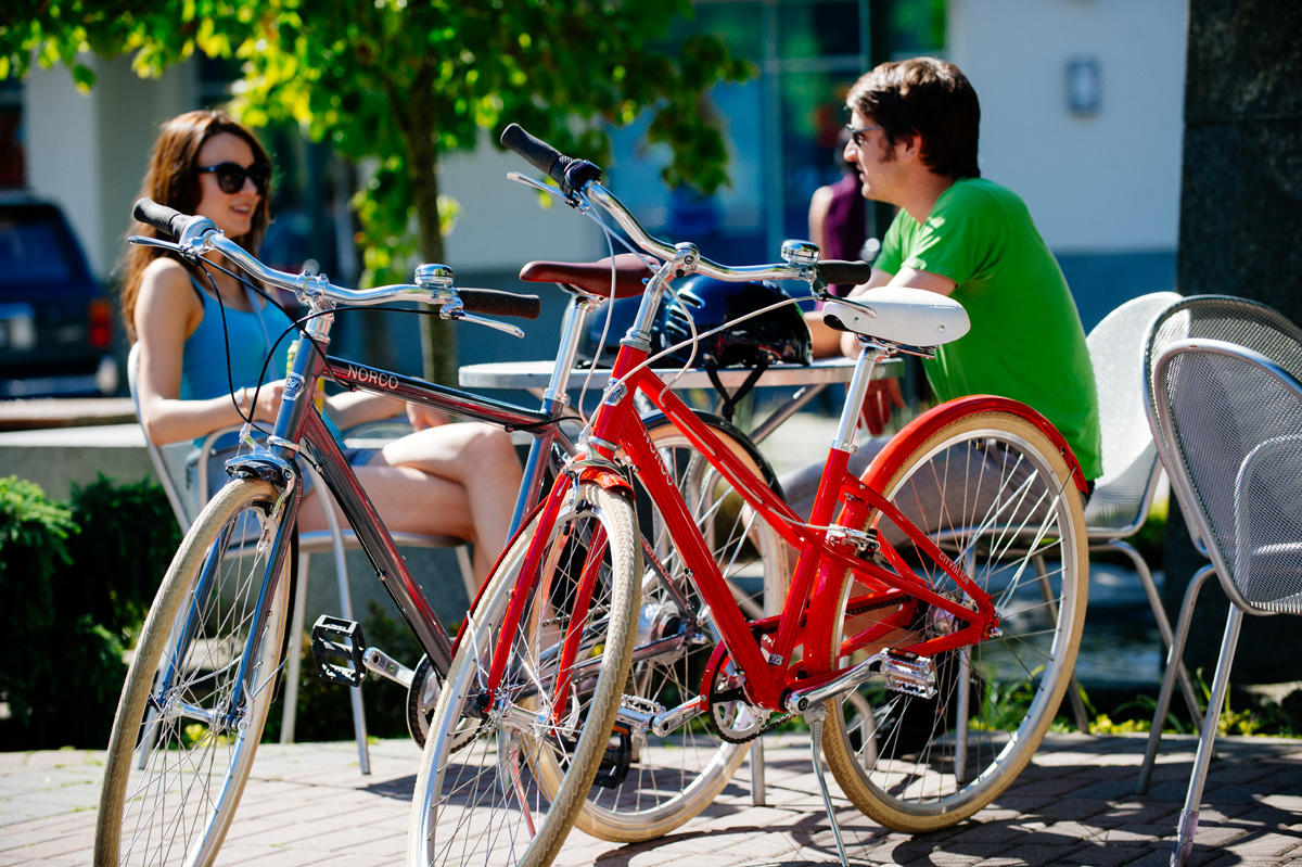 Bike Sharing Market Outlook and Opportunities in Grooming Regions : Edition 2019-2026