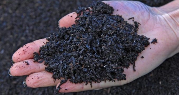 Asia Pacific Biochar Market – Industry Analysis and Forecast (2018-2026)