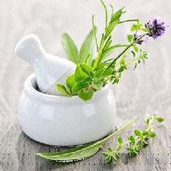 Botanical Extracts Market Growth Report 2019: Global Key Vendors Analysis with Study of Production Types, Consumption, Export and Import till 2027