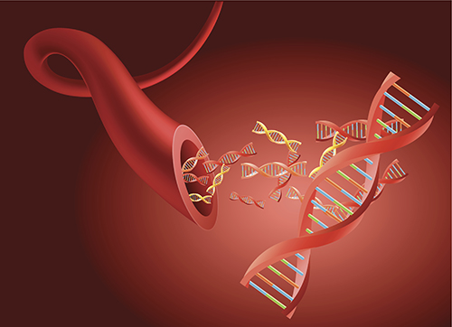 Breast Cancer Liquid Biopsy