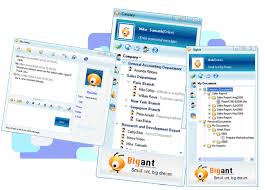 Business Instant Messaging Software Market Technology Growth and Guide for SWOT Analysis of The Industry