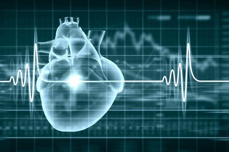 Cardiac Imaging Market 2019 Pharmaceuticals & Healthcare Analysis – GE Healthcare, Siemens Healthcare, Philips Healthcare