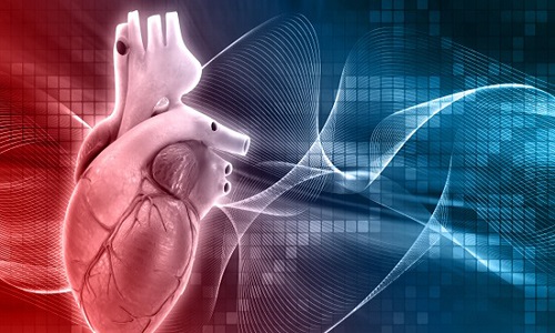 Cardiovascular Repair And Reconstruction Devices Market 2019 Health Monitoring Equipment, Expert Reviews Outlook – Getinge, CryoLife, Edwards Lifesciences