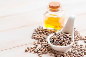 Castor Seed Oil Market 2019 Analysis By Global Manufacturers – NK Proteins, Jayant Agro Organics, Ambuja