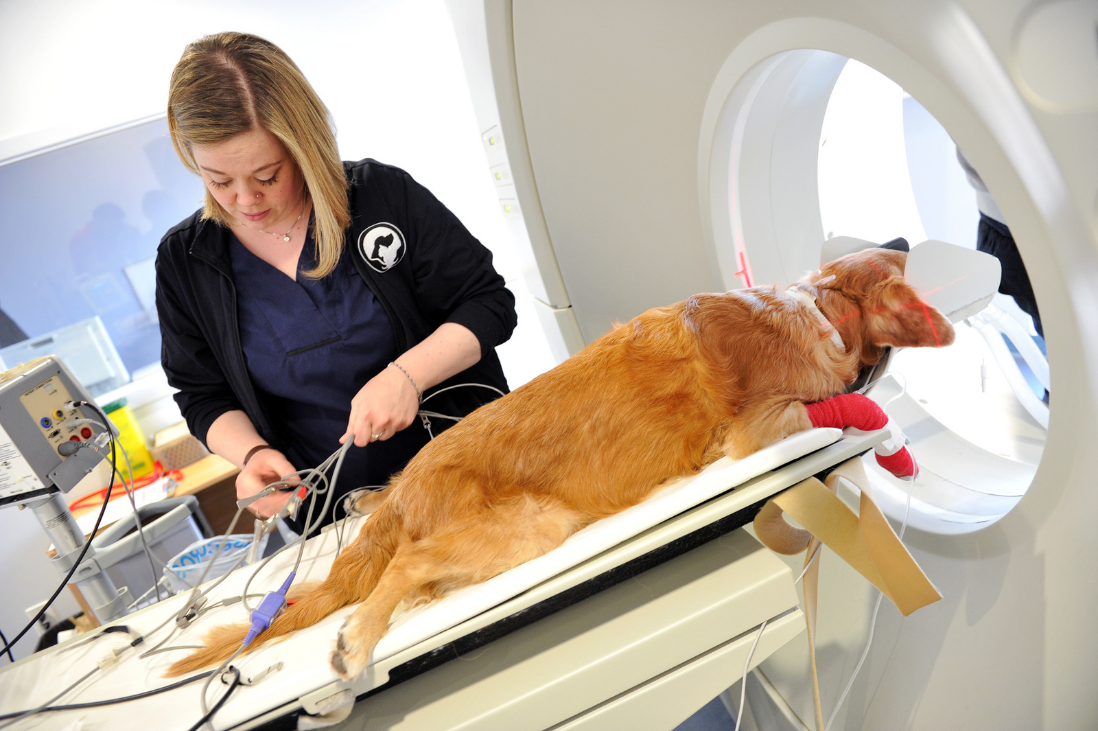 Veterinary Diagnostic Imaging Market 2019-2024 Industry Future Trends, Opportunity and Key Players GE, IDEXX, Esaote, Agfa Healthcare, Toshiba