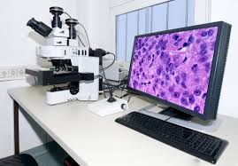 Digital Pathology Systems Market In-deep Analysis And Experts Review Report 2019-2025