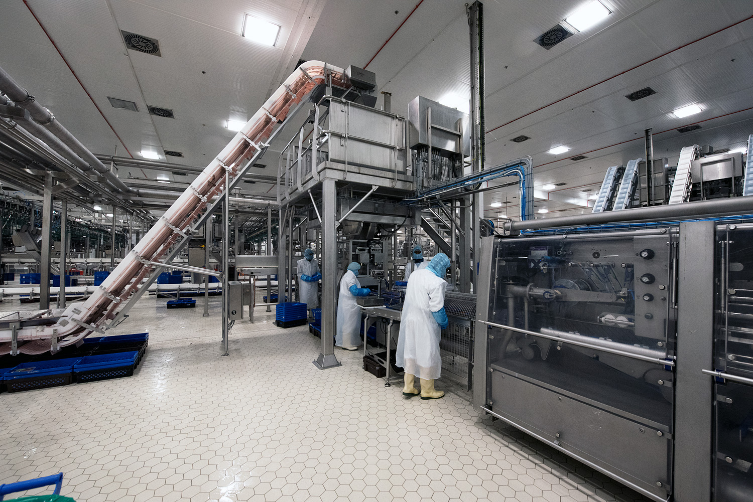 Food Industry Automation Equipments Market Size, Status, Global outlook 2019 To 2025