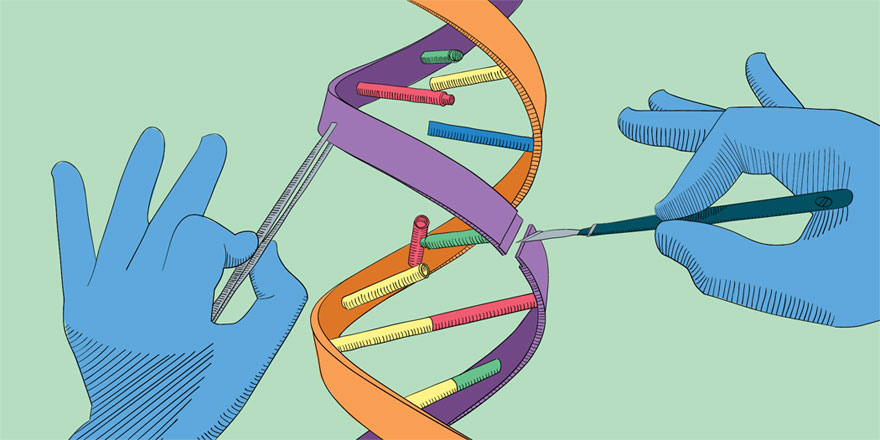 Genome Editing Market Global Industry Analysis and Forecast (2017-2026)
