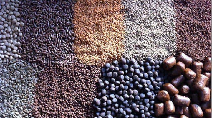 Global Aquafeed Market-Industry Analysis and Forecast (2019-2026)