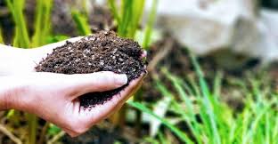 Global Biochar Market – Global Industry Analysis and Forecast (2018-2026)
