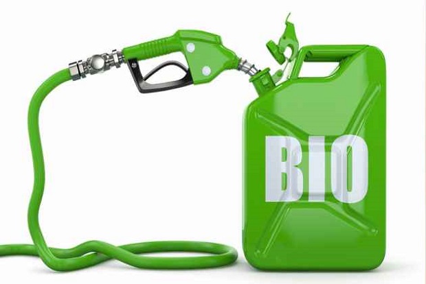 Global Biofuels Market – Industry Analysis and Forecast (2019-2026)