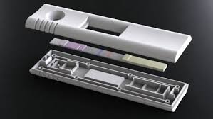 Global Lateral Flow Assay Market – Global Industry Analysis and Forecast (2018-2026)