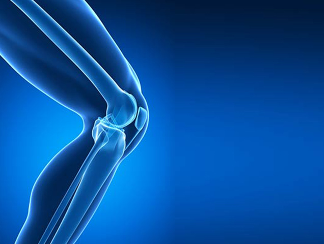 Orthopedic Joint Reconstruction Market 2019 Top Key Company Profiles: Touch Bionics Inc, Zimmer Biomet, Stryker Corp, DePuy Synthes, Blatchford Ortopedi AS