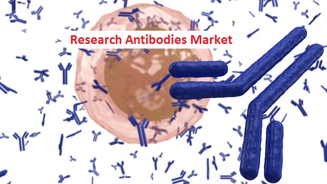 Global Research Antibodies Market – Recent Analysis of Industry Trends and Technological Improvements For 2026