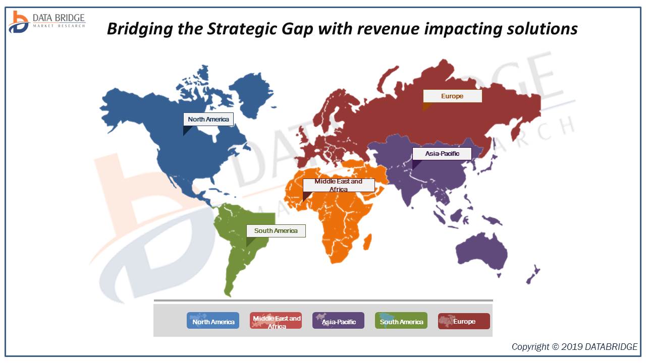 Lactose Intolerance Treatment Market Structure Analysis for the Period