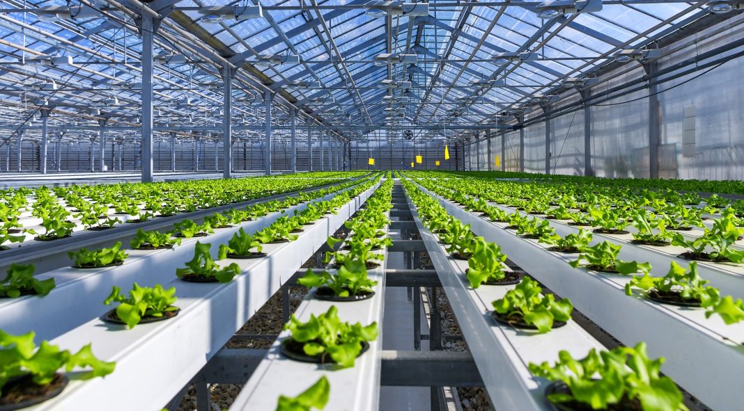Global Hydroponics Market – Industry Analysis and Forecast (2018-2026)