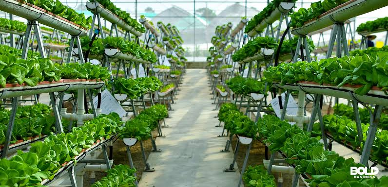 Global Indoor Farming Technology Market Segment by Regions, Applications, Product Types and Analysis by Growth and Forecast To 2026