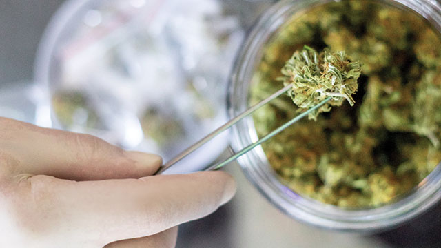 Global Cannabis Testing Market – Industry Analysis and Forecast (2019-2026)