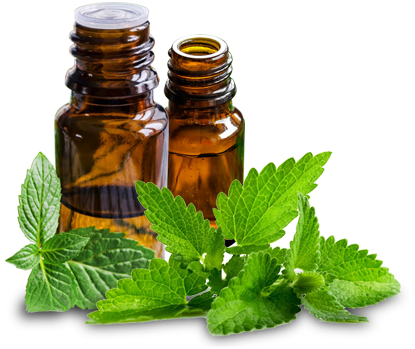 Global Mint Oil Market Strategics Key Players 2019 – 2025 : Aromaaz, Aksuvital, Ultra International B.V., Citromax S.A.C.I.