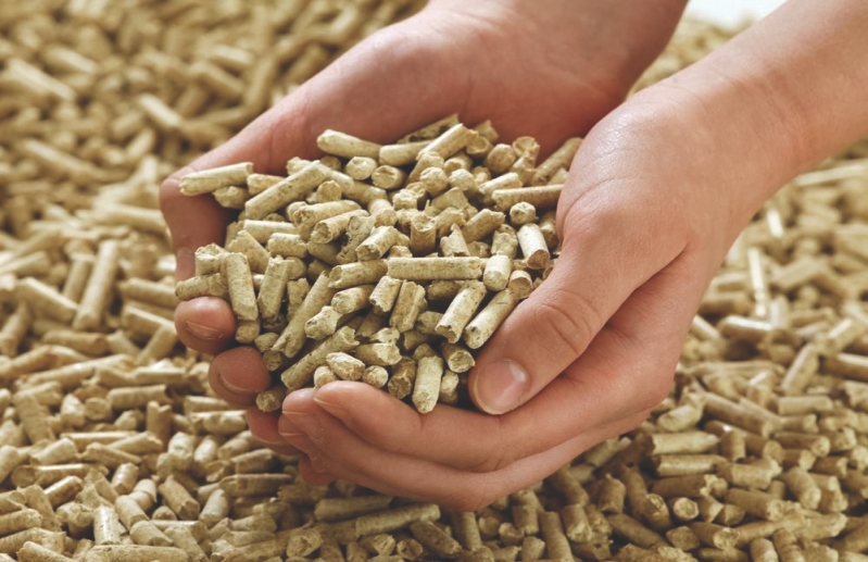 Global Wood Pellets Market: Industry Analysis and Forecast (2018-2026)