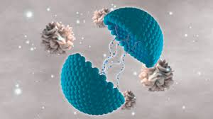 Global Novel Drug Delivery Systems Market Outlook 2019 – 2025 : Amgen, Teva, Union Chimique Belge (UCB)