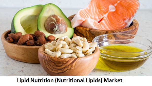 The global nutrition lipid market accounted to US$ 7,443.2 Mn in 2018 and is expected to grow at a CAGR of 9.3% during the forecast period 2019 – 2027, to account to US$ 16,429.6 Mn by 2027