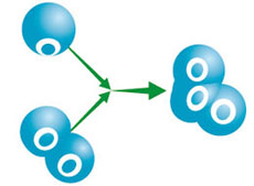 Ozone Technology Market Size, Status and Global Outlook 2019-2025c