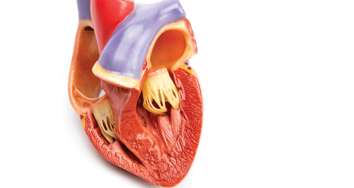 Pericarditis Market 2019 Strategic Survey Report by Clinical Expert And Forecast Till 2025 | Pfizer, Astrazeneca, Bayer, Reckitt Benckiser