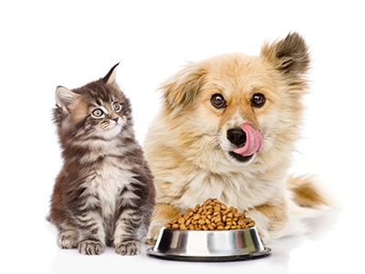 Pet Food Market Global Industry Key Plans, Historical Analysis, Segmentation, Application, Technology, Trends and Opportunities Forecasts to 2027